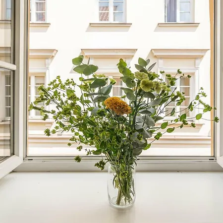 Cozy 2bdr Apt On Stikliu Str With Inner Yard S43 Apartment Wilna
